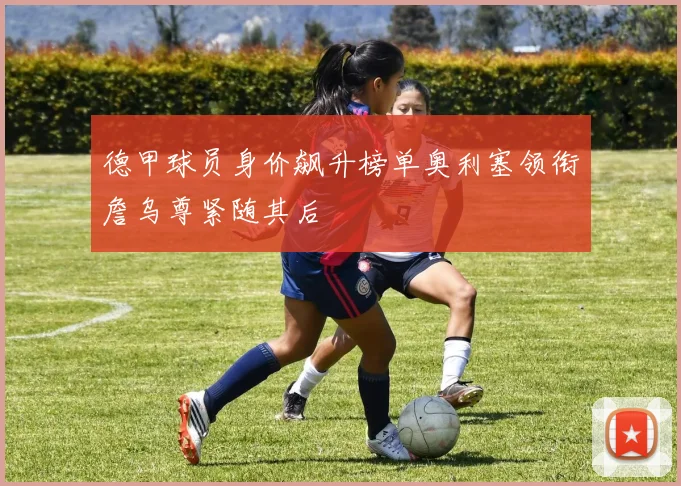 德甲球员身价飙升榜单奥利塞领衔詹乌尊紧随其后